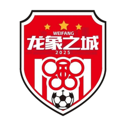 枣庄队