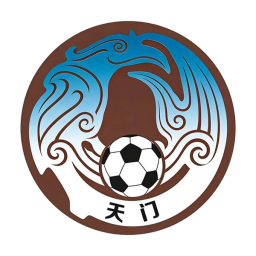 武汉队